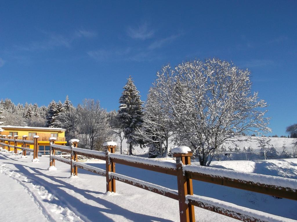 Holiday Park Orava Apartments Dolny Kubin Buitenkant foto