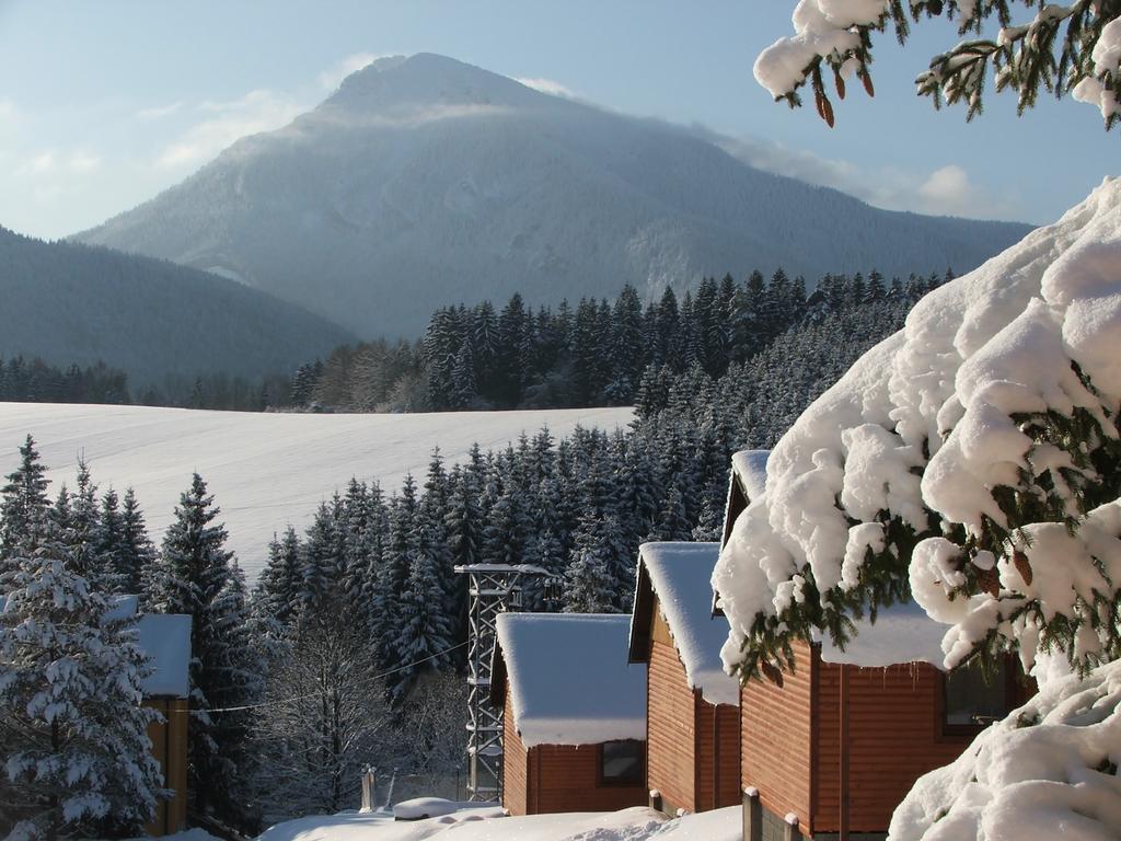 Holiday Park Orava Apartments Dolny Kubin Buitenkant foto